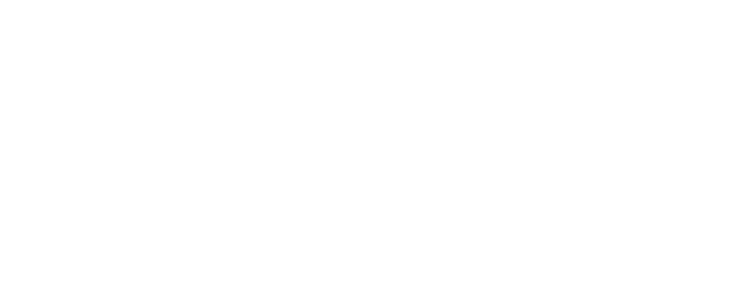 AVS Logo
